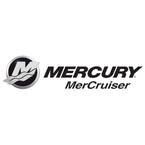 Mercury Cruiser